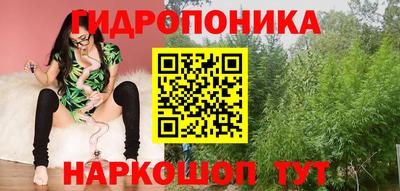 ешки Тверь