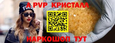 гашик Тара